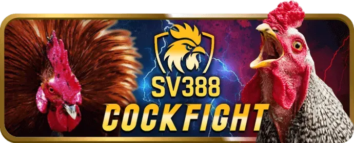 Quy trình rút tiền thắng cược nổ hũ tại EU88 bet